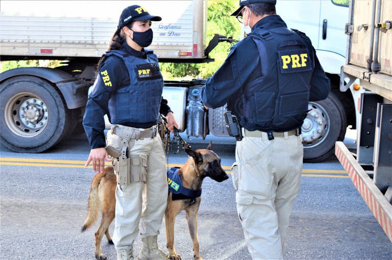 WhatsApp Image 2023-01-17 at 10.11.24 (2).jpeg