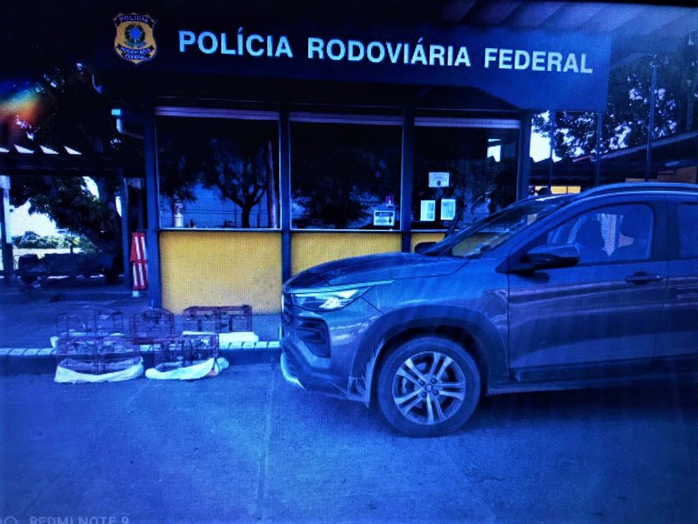 Vale ressaltar que é crime a caça predatória, o tráfico e a criação ilegal de animais silvestres.