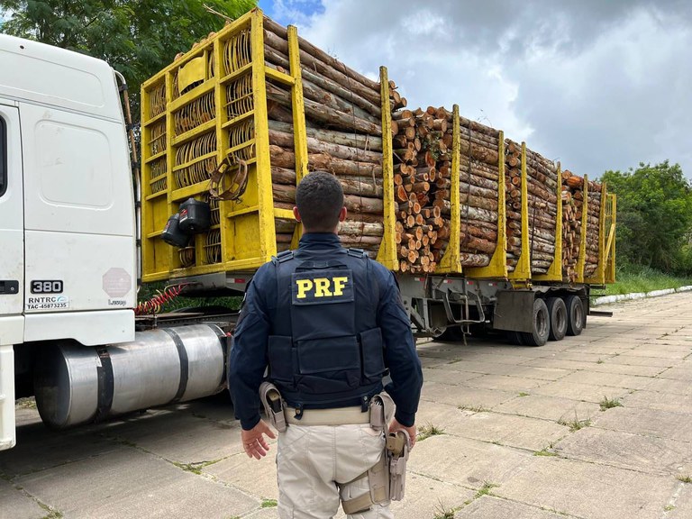 WhatsApp Image 2023-01-27 at 14.33.21.jpeg