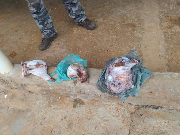 WhatsApp Image 2023-06-16 at 17.28.52.jpeg