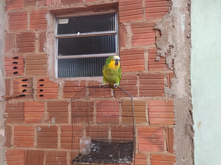 WhatsApp Image 2023-06-16 at 17.28.53 (2).jpeg