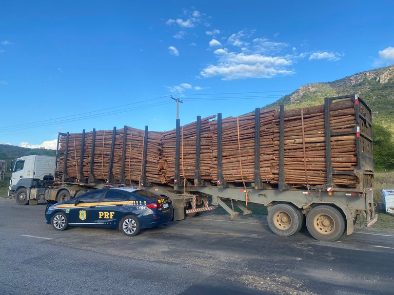 WhatsApp Image 2023-03-29 at 16.35.00.jpeg