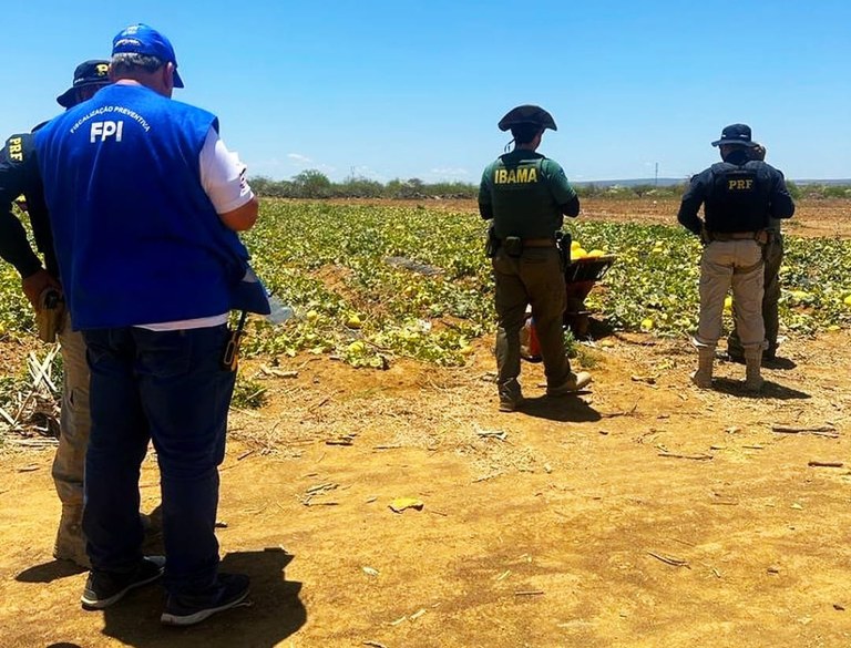 WhatsApp Image 2023-11-19 at 08.18.22.jpeg