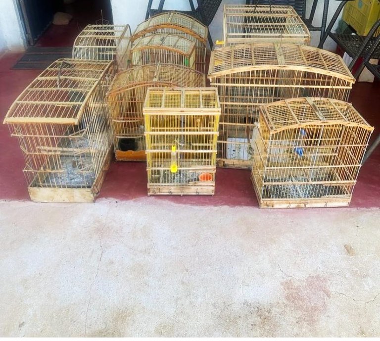 WhatsApp Image 2023-11-19 at 08.18.23.jpeg