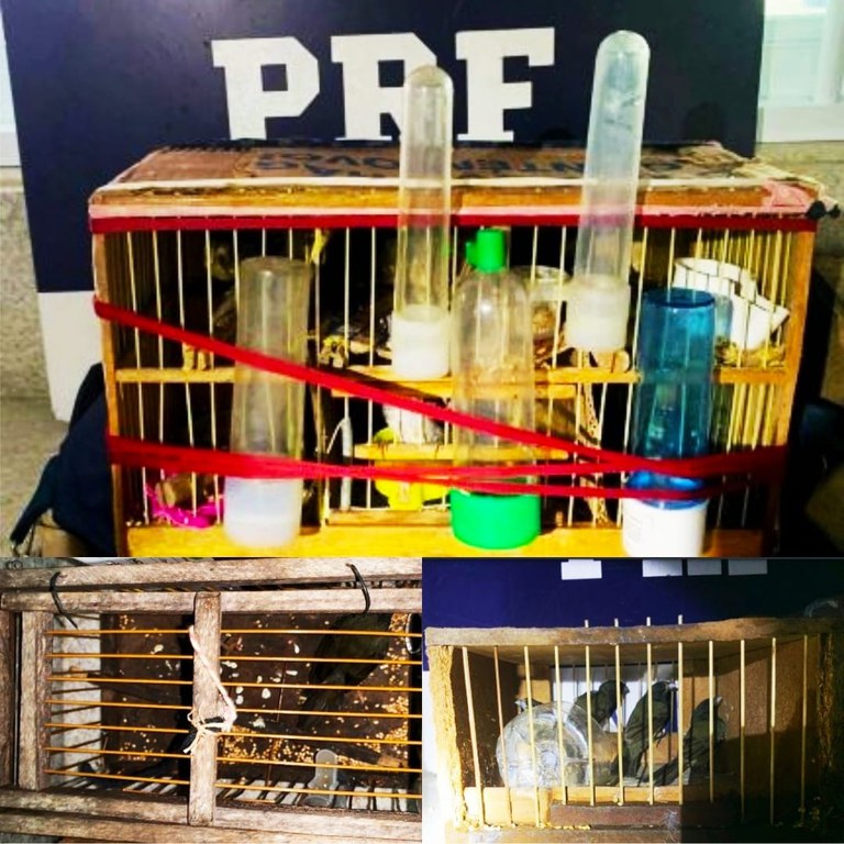 WhatsApp Image 2023-11-01 at 15.50.31.jpeg