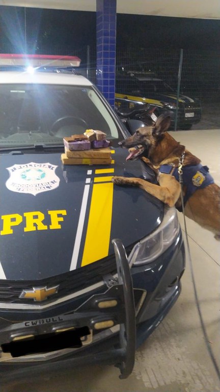 WhatsApp Image 2023-09-01 at 20.58.52.jpeg