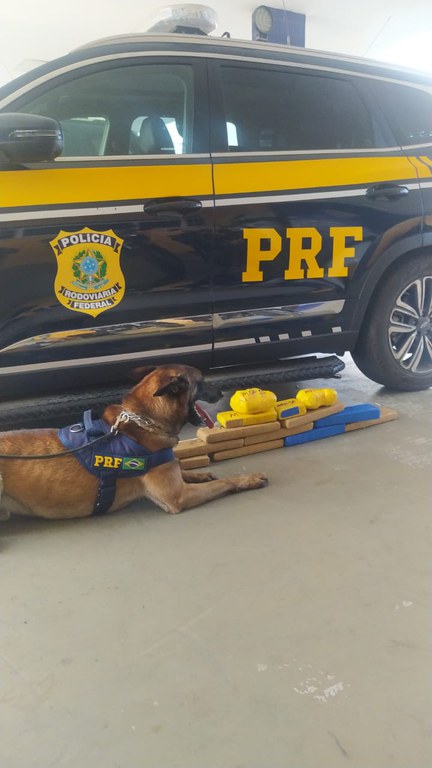 WhatsApp Image 2023-09-25 at 14.57.11.jpeg