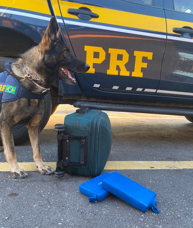 WhatsApp Image 2024-04-12 at 17.38.07.jpeg