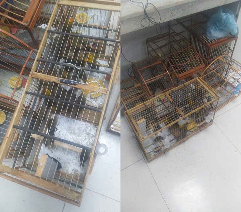 WhatsApp Image 2024-04-03 at 2.08.51 PM.jpg