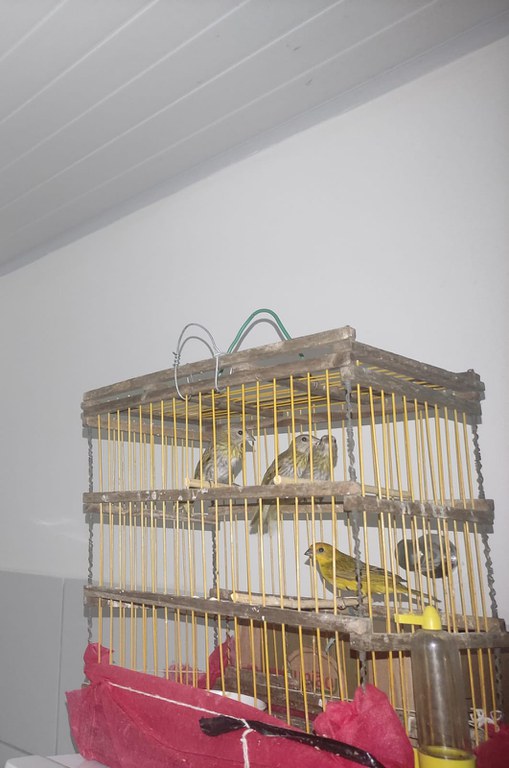 WhatsApp Image 2024-04-12 at 14.36.16.jpeg