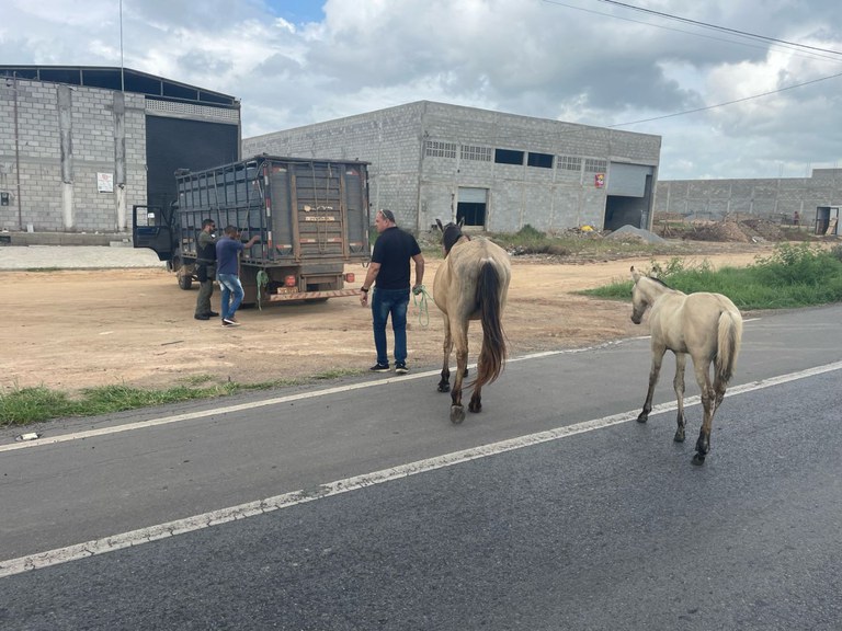 WhatsApp Image 2024-02-09 at 14.07.20.jpeg