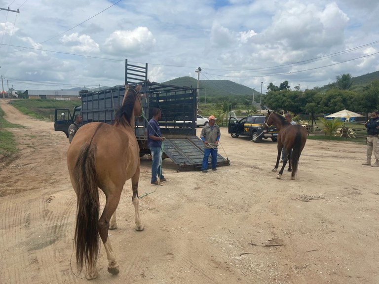 WhatsApp Image 2024-02-09 at 14.07.23 (1).jpeg