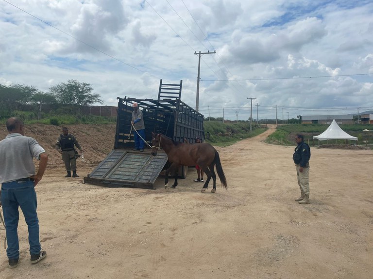 WhatsApp Image 2024-02-09 at 14.07.23.jpeg