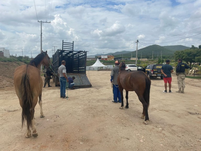 WhatsApp Image 2024-02-09 at 14.07.24.jpeg