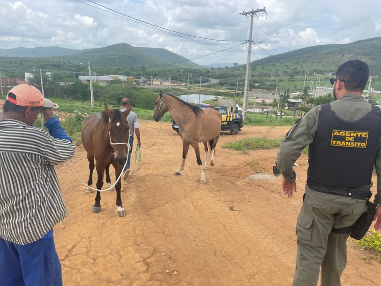 WhatsApp Image 2024-02-09 at 14.07.25 (1).jpeg