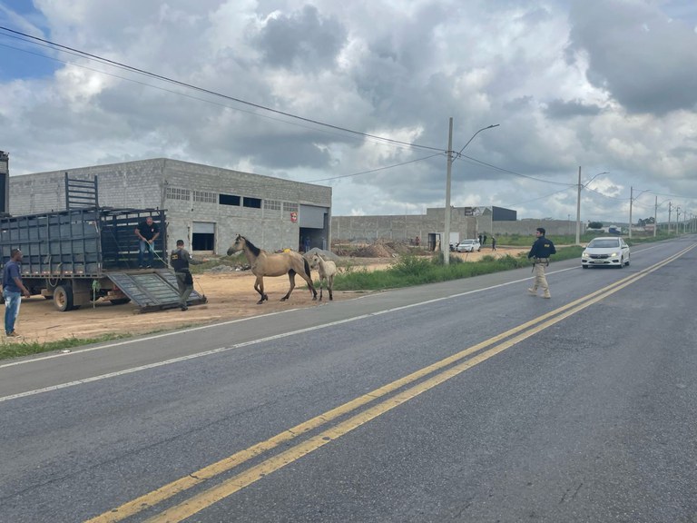 WhatsApp Image 2024-02-09 at 14.07.26 (1).jpeg