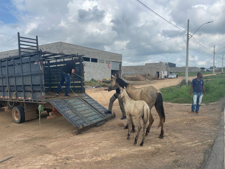 WhatsApp Image 2024-02-09 at 14.07.26.jpeg