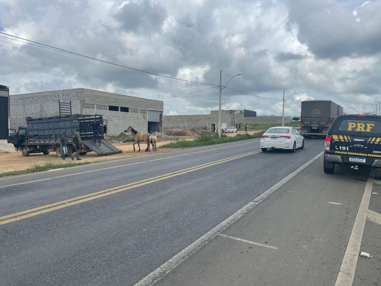 WhatsApp Image 2024-02-09 at 14.07.27.jpeg