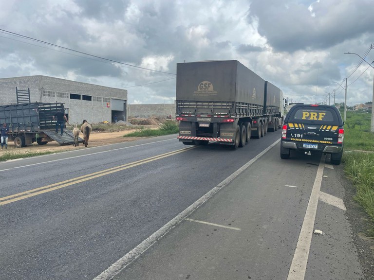 WhatsApp Image 2024-02-09 at 14.07.28.jpeg