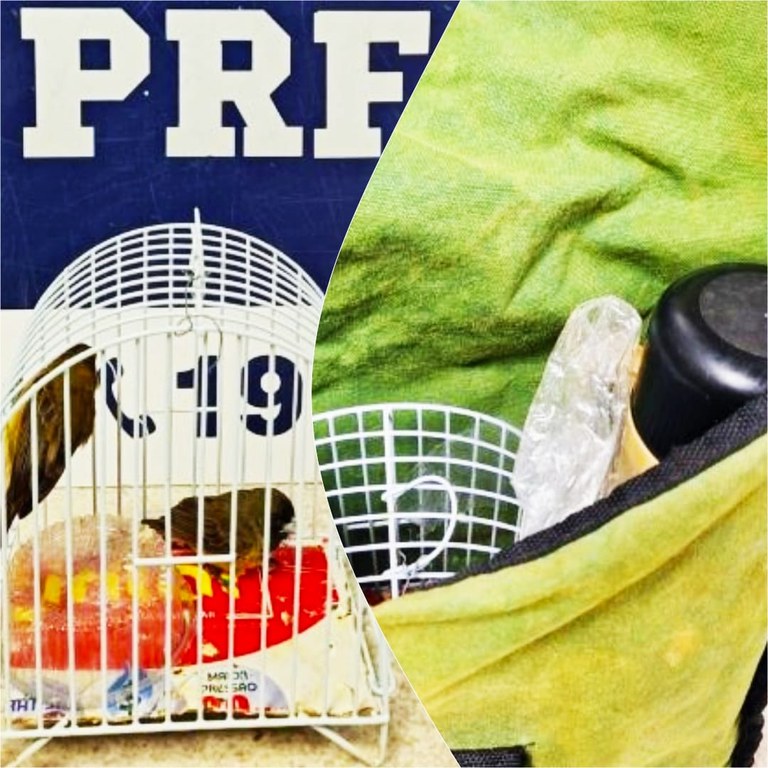 WhatsApp Image 2024-02-10 at 16.25.34.jpeg