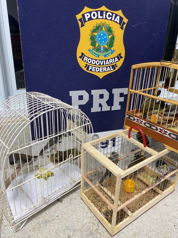 WhatsApp Image 2024-02-24 at 12.01.18 (2).jpeg