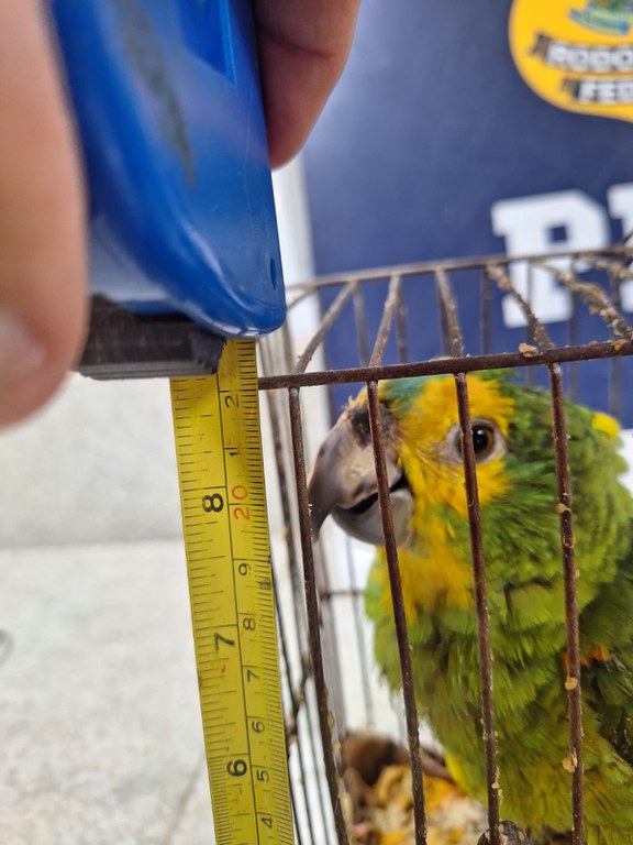 WhatsApp Image 2024-01-31 at 08.29.26.jpeg