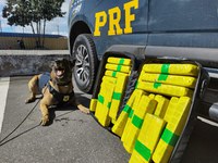 Mais de 22 Kg de maconha são apreendidos pela PRF durante abordagem a ônibus em Vitória da Conquista (BA)