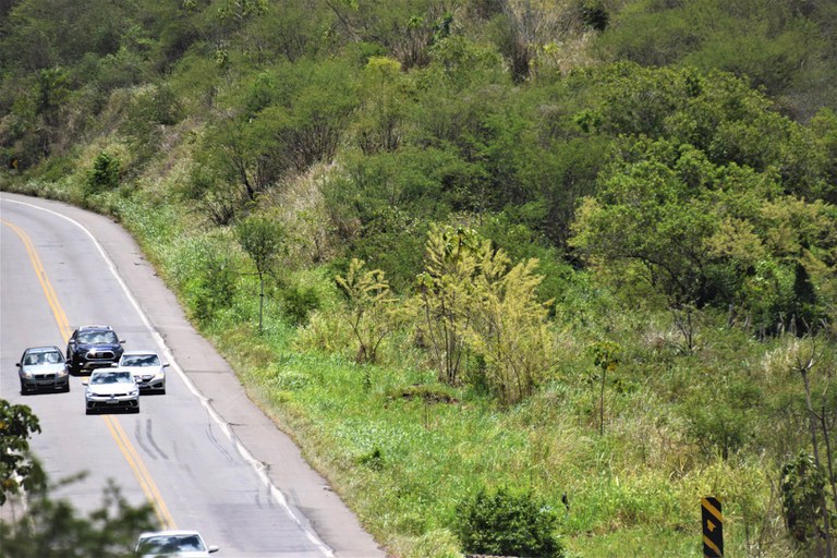 Ultrassapagem local proibido 3.jpeg