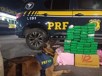 Combate ao tráfico de drogas: Em Vitória da Conquista (BA), PRF apreende cerca de 50 kg de maconha