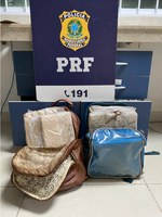 PRF apreende 18 kg de maconha durante abordagem a ônibus em Vitória da Conquista (BA)