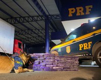 Cão farejador da PRF localiza 150 kg de maconha em caminhão em Vitória da Conquista (BA)