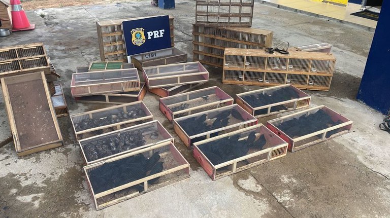 WhatsApp Image 2024-05-07 at 15.12.28.jpeg