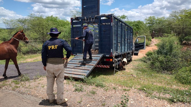 WhatsApp Image 2024-03-08 at 15.04.11.jpeg