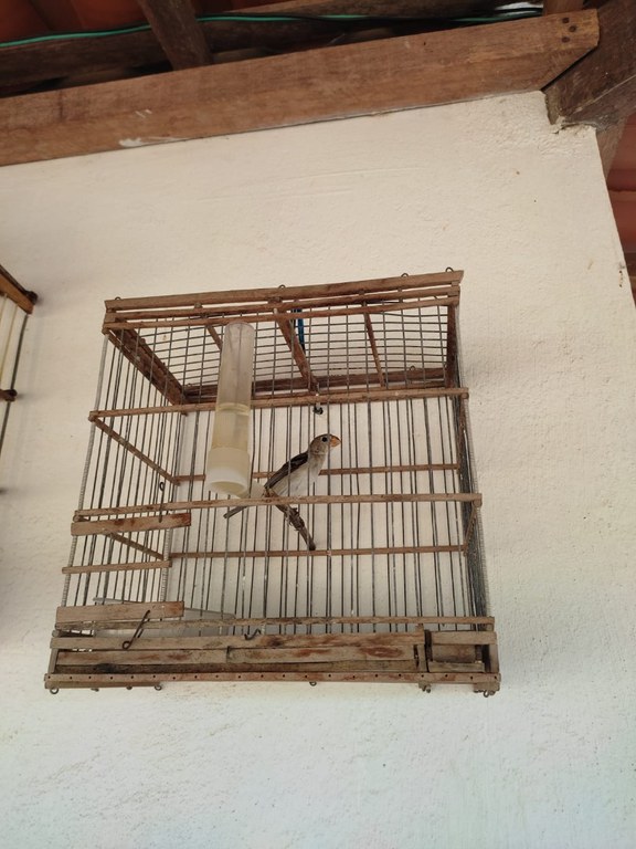 WhatsApp Image 2025-04-10 at 10.24.37 (1).jpeg