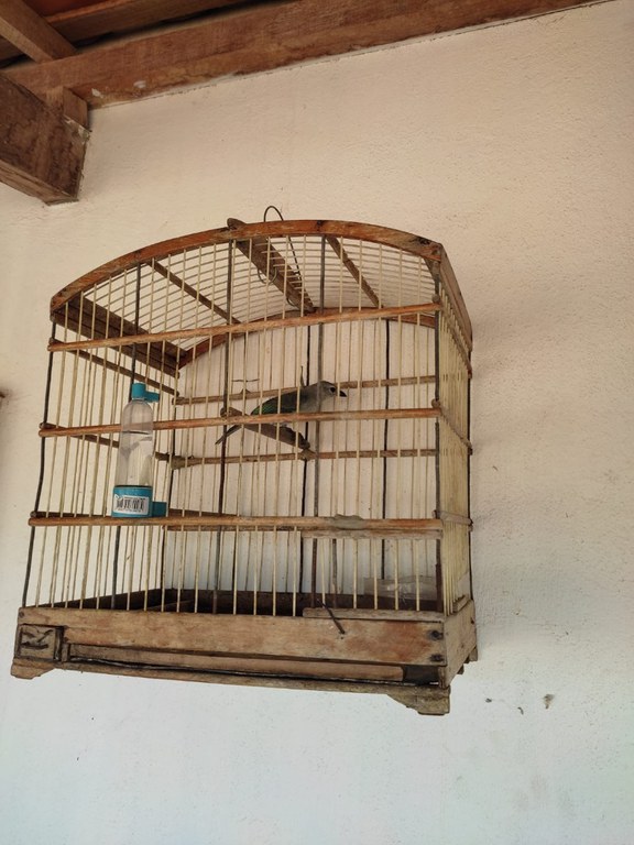 WhatsApp Image 2025-04-10 at 10.24.37 (2).jpeg