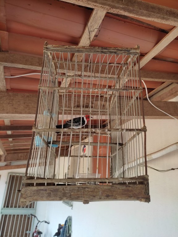 WhatsApp Image 2025-04-10 at 10.24.37 (3).jpeg