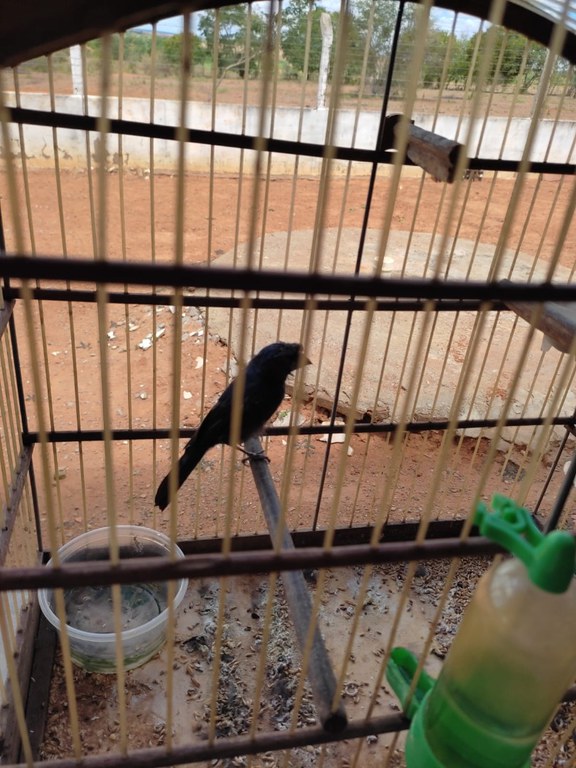 WhatsApp Image 2025-04-10 at 10.24.38 (1).jpeg