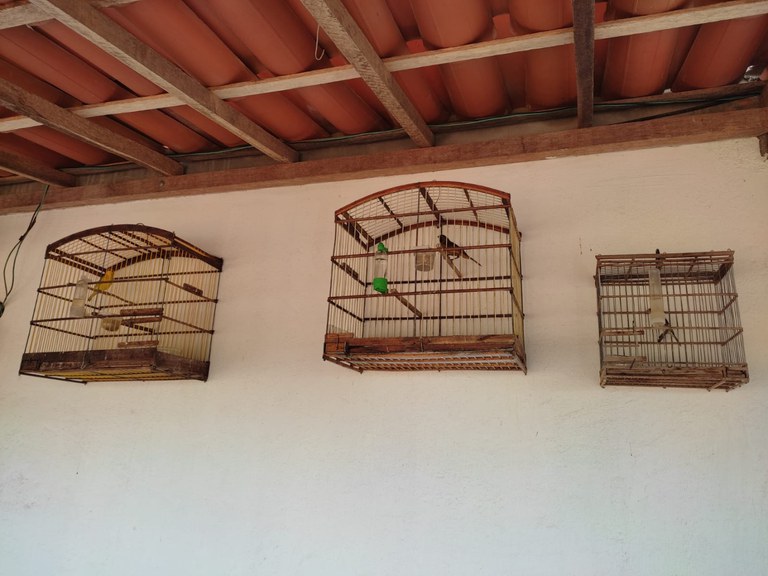 WhatsApp Image 2025-04-10 at 10.24.38.jpeg