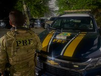 PRF apreende cocaína em ônibus com apoio de cão farejador em Feira de Santana (BA)