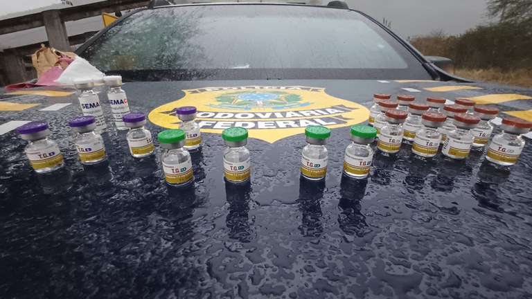 WhatsApp Image 2025-07-31 at 18.30.25 (1).jpeg