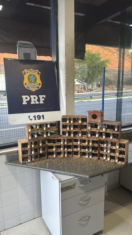 WhatsApp Image 2025-08-13 at 18.02.50.jpeg