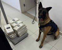 PRF e Cão Policial Apreendem Mais de 22 Kg de Drogas em Ônibus de Viagem em Vitória da Conquista (BA)