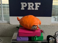 PRF apreende substâncias entorpecentes, bebida alcoólica e cigarros eletrônicos em ônibus na BR-116