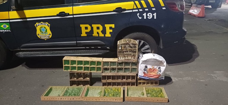 WhatsApp Image 2025-01-08 at 03.28.36 (2).jpeg