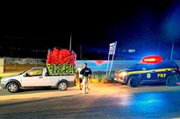 Strada que transportava bananas de forma irregular é retida pela PRF em Santo Antônio de Jesus (BA)