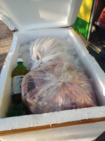 PRF flagra porte de anfetaminas e transporte ilegal de carnes em Paulo Afonso (BA)