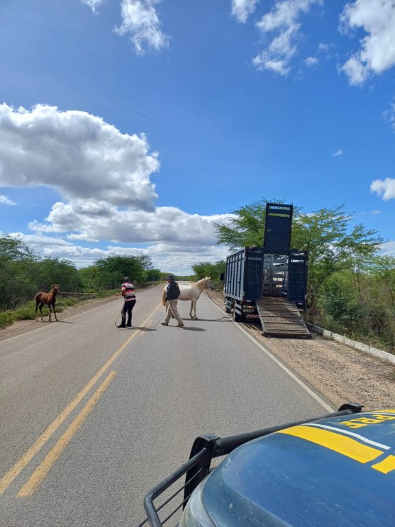 WhatsApp Image 2025-07-04 at 19.19.08.jpeg