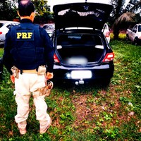 Carro roubado é recuperado pela PRF durante fiscalização na BR 324