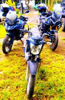 Homem negocia moto adulterada com ‘sacas’ de limão e acaba preso pela PRF em Cruz das Almas