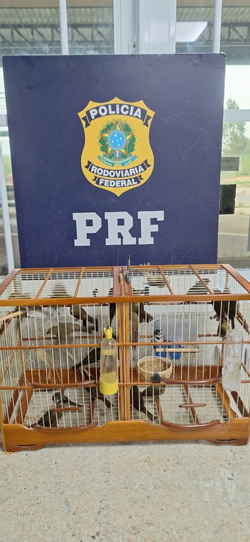 WhatsApp Image 2025-05-15 at 09.37.34.jpeg